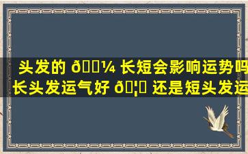 头发的 🌼 长短会影响运势吗(长头发运气好 🦋 还是短头发运气好)
